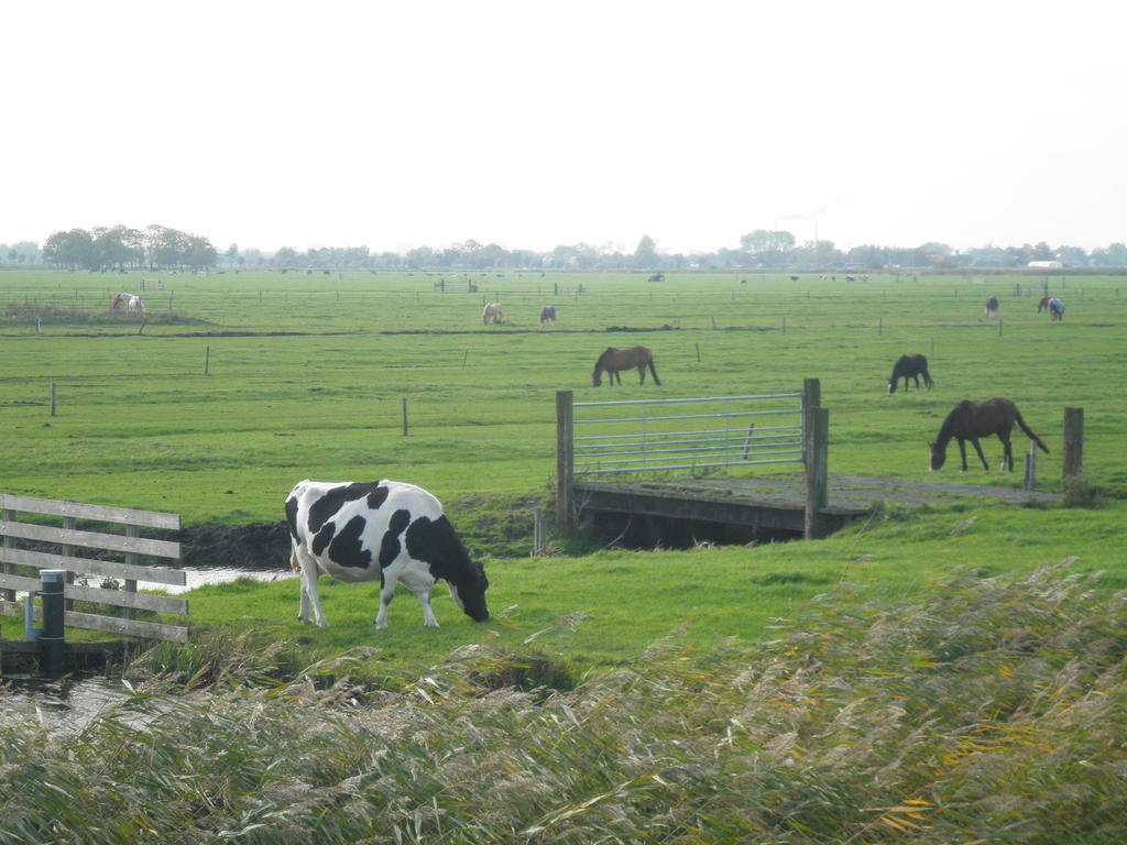 B&B Hutspot Amsterdam Luaran gambar